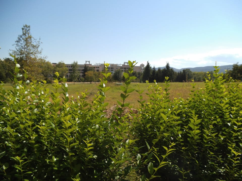 Von der Terrasse Duni Royal Pelican Resort