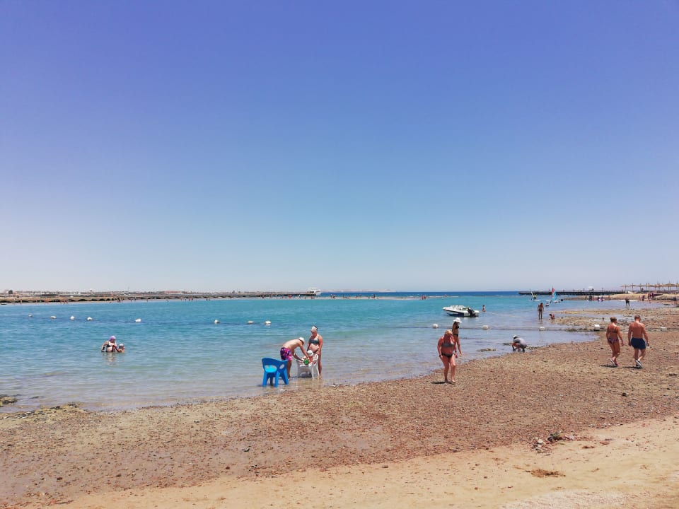 Strand Pickalbatros Alf Leila Wa Leila Resort - Neverland Hurghada