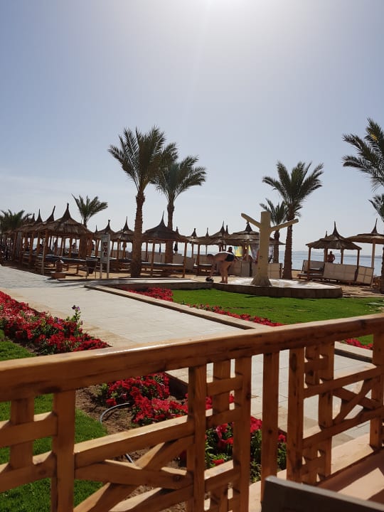 Außenansicht Beach Albatros Resort