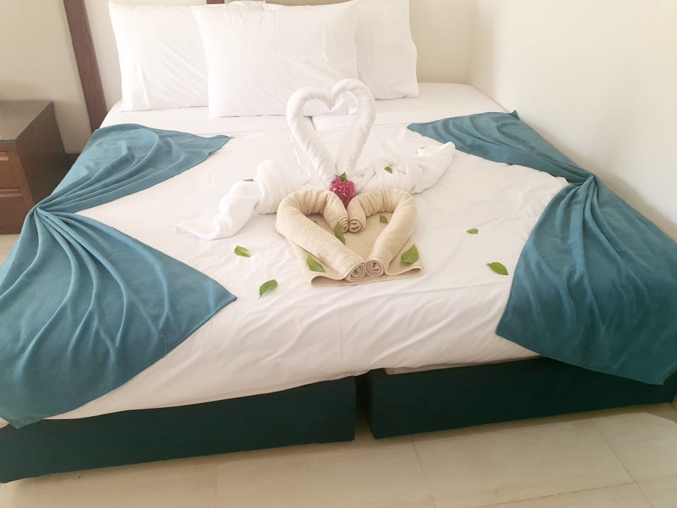 Zimmer Jaz Soma Beach