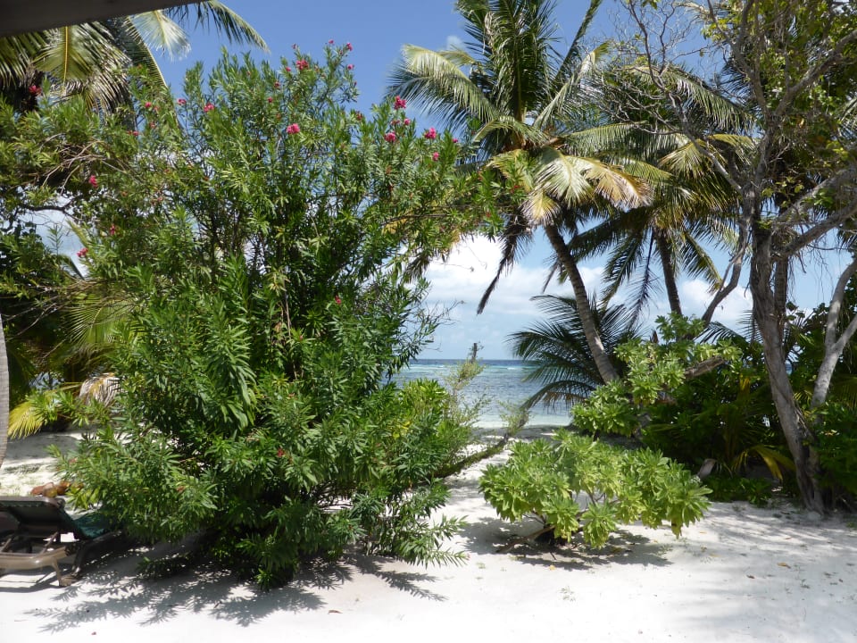 Strand Kuredu Island Resort & Spa