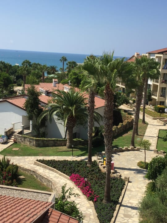 Ausblick Arum Barut Collection
