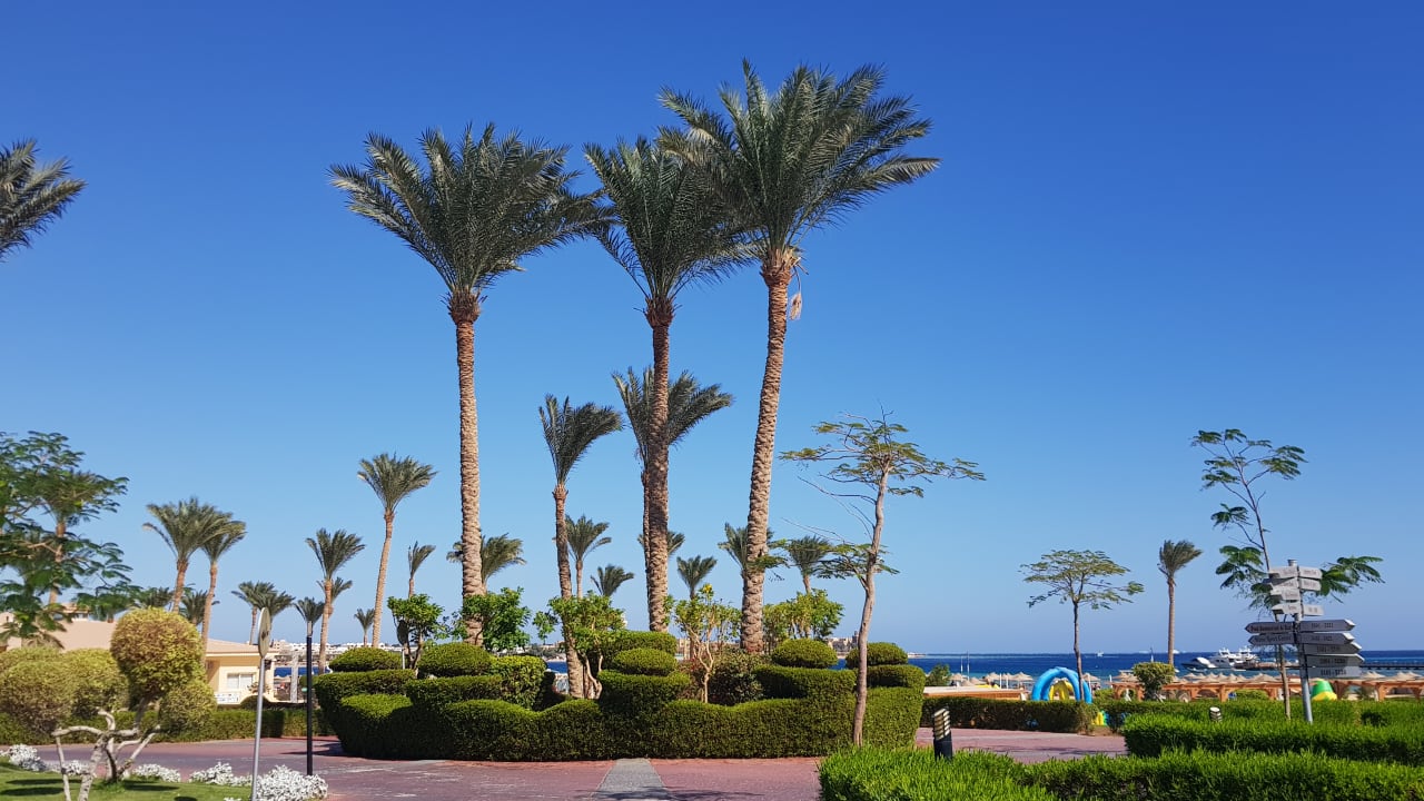 Gartenanlage Cleopatra Luxury Resort Makadi Bay