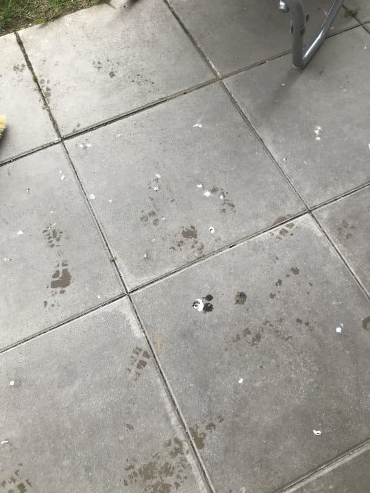 Gartenanlage BEECH Resort Boltenhagen