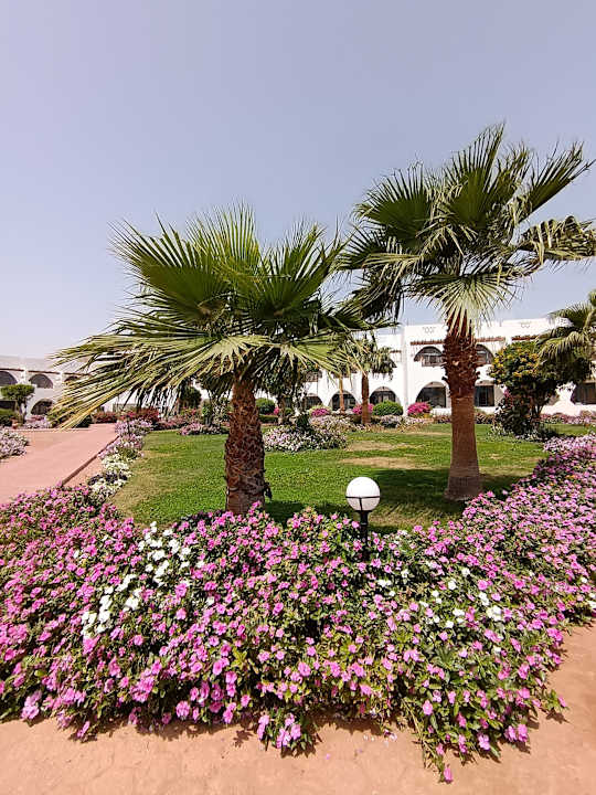 Gartenanlage Three Corners Equinox Beach Resort