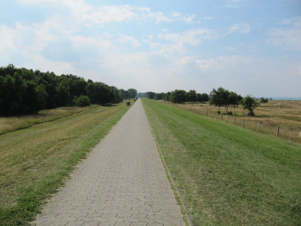 Herrliche Dünenlandschaft Strandhotel Weissenhäuser Strand