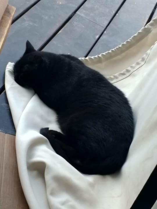 Sonstiges Hotel Ocean World