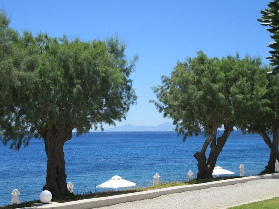 Ausblick Dimitra Beach Hotel & Suites