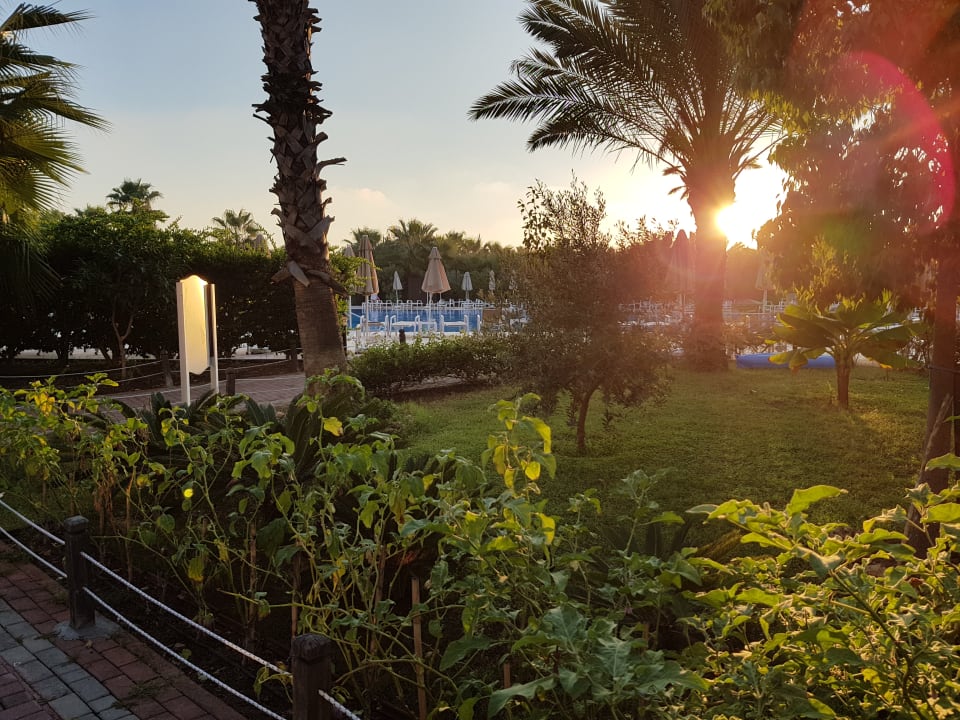 Gartenanlage Seaden Sea World Resort & Spa