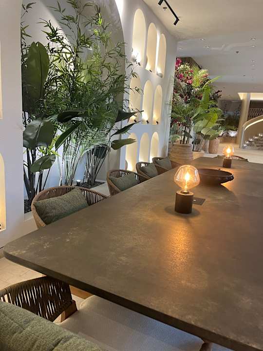 Ausblick Desert Rose