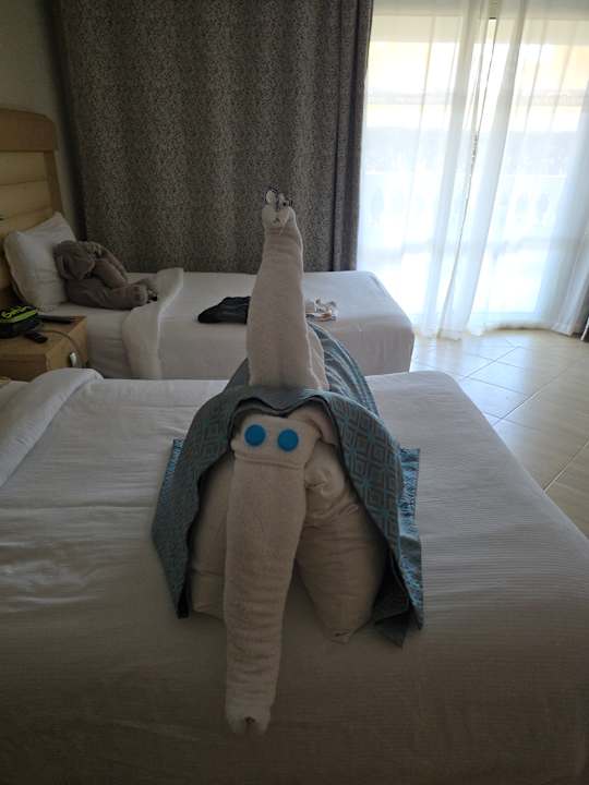 Zimmer Beach Albatros Resort