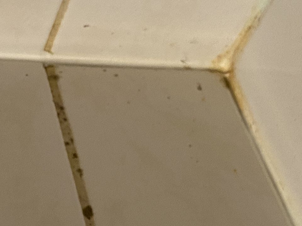 Zimmer Roompot Noordzee Residence De Banjaard