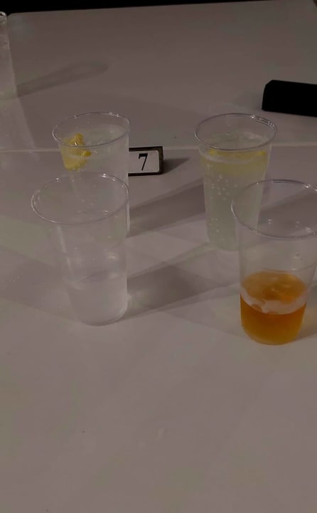 Gastro Atlantica Callisto