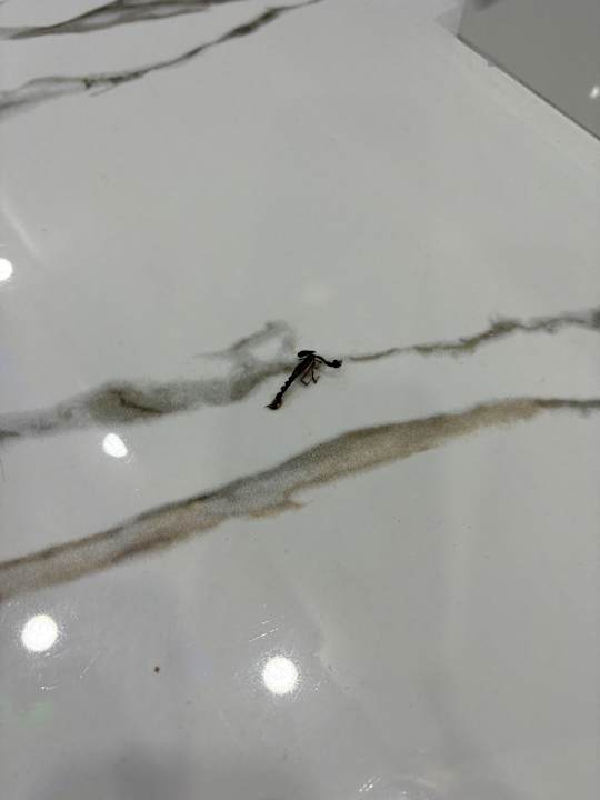 Sonstiges Geyikbayiri Mountain Holiday Village