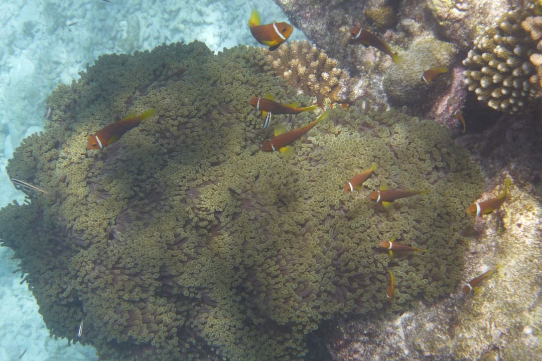 Unterwasser Embudu Village