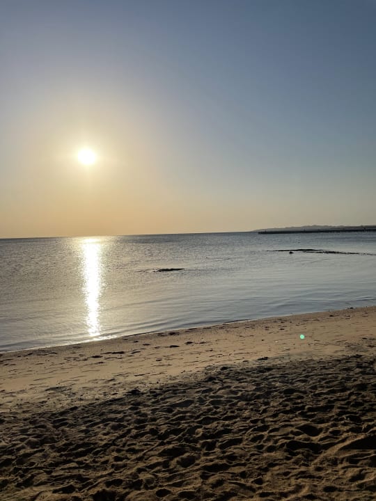 Strand Pickalbatros Palace Resort