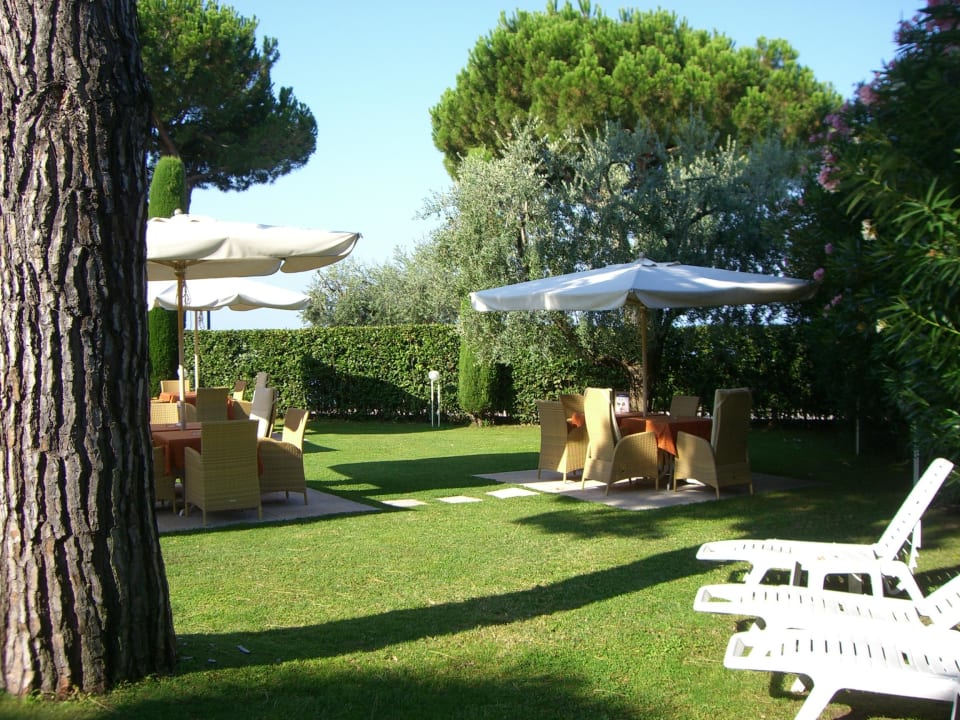 Garten mit Liegen  Hotel Sportsman