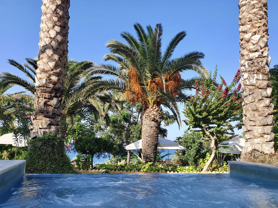 Gartenanlage Crystal Springs Beach Hotel