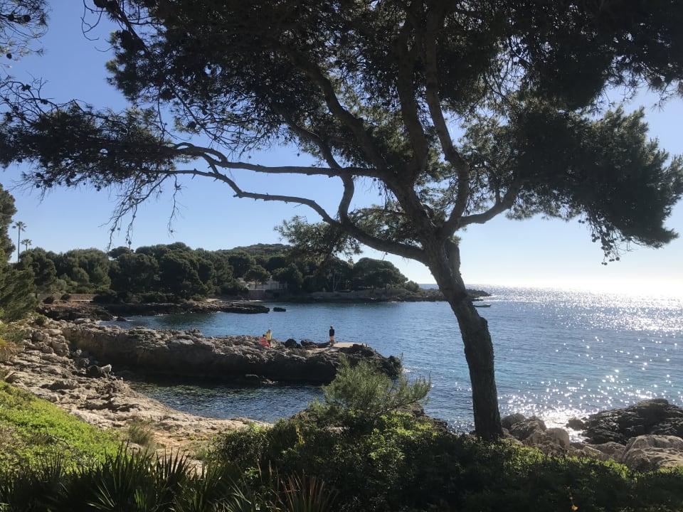 Strand Iberostar Waves Pinos Park