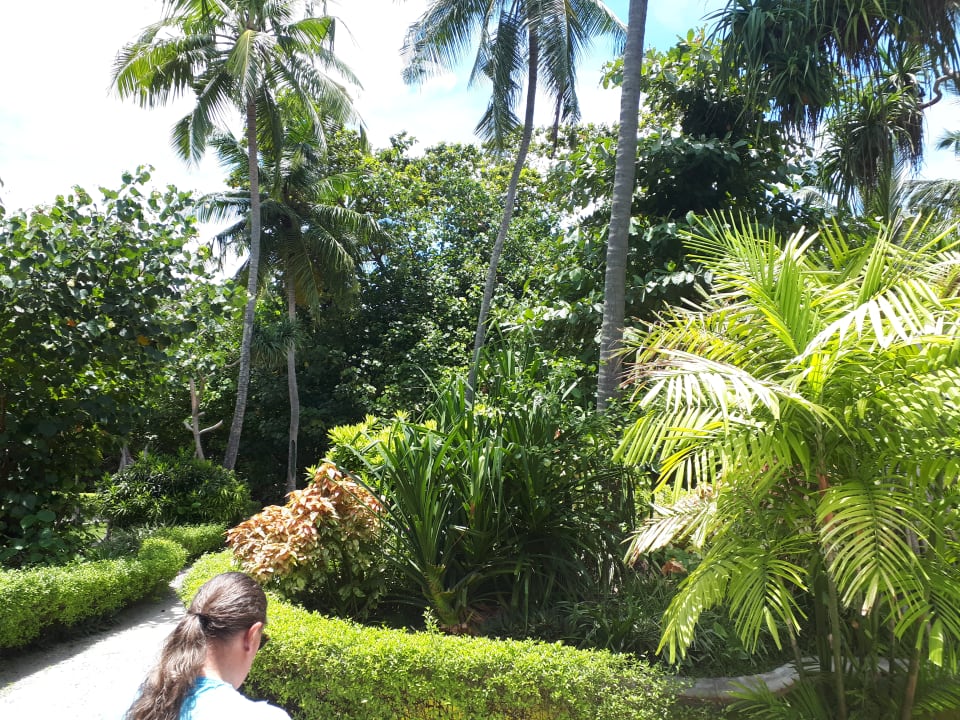 Gartenanlage Adaaran Select Meedhupparu Island Resort - Premium All Inclusive