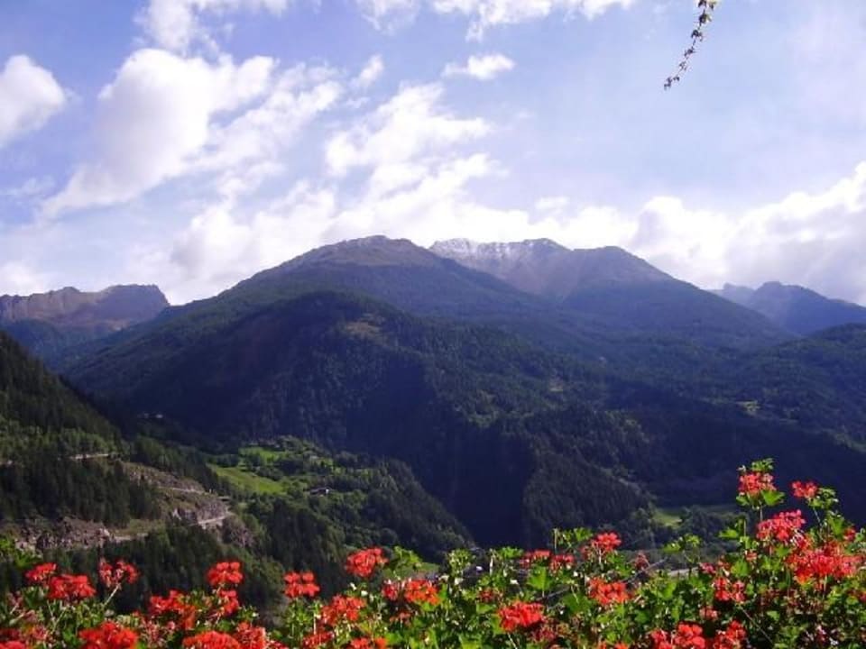 Hanselishof Ferienwohnung Hanselishof