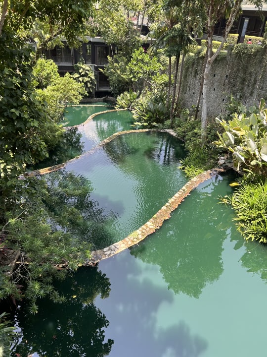 Gartenanlage Pullman Phuket Arcadia Naithon Beach