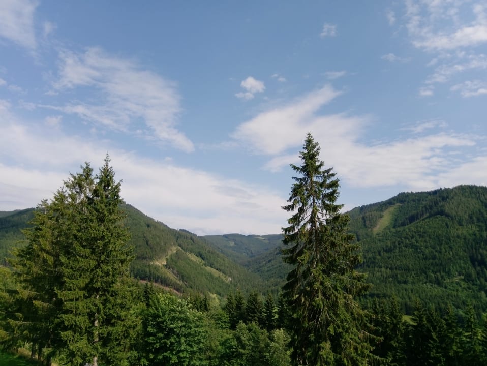 Ausblick Hotel Alpenhof Hotel Semmering