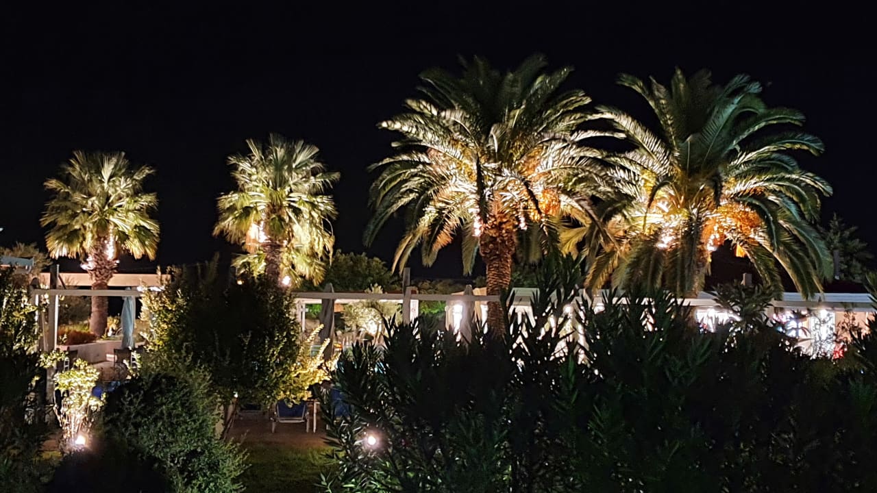 Gartenanlage alltoura Club Hotel Poseidon Palace