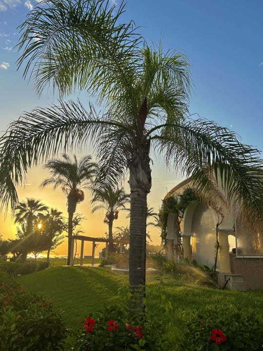 Ausblick Atrium Palace Thalasso Spa Resort & Villas