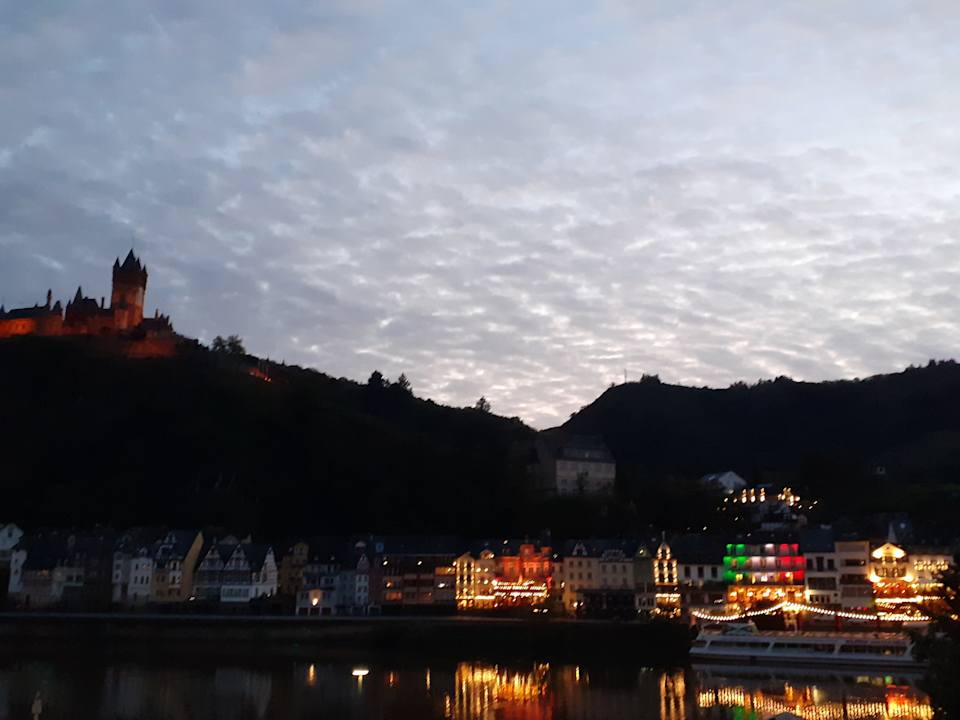 Ausblick Moselstern Hotel Brixiade & Triton