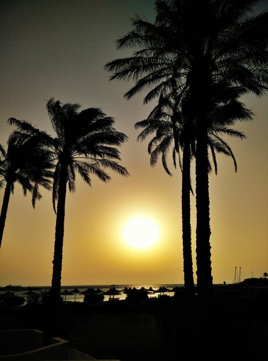 Sonnenaufgang Cleopatra Luxury Resort Makadi Bay