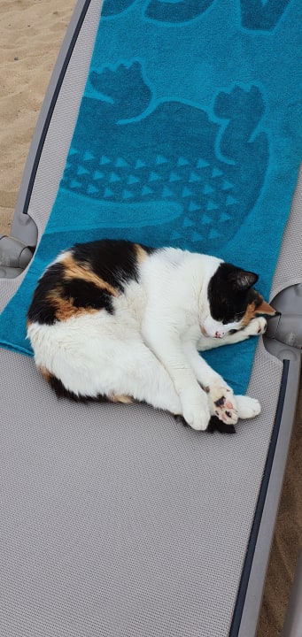 Strand Aydinbey Kings Palace & Spa