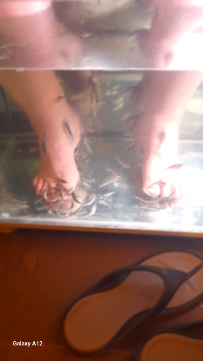 Sport & Freizeit Well Palace Side