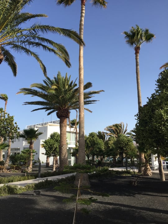 Gartenanlage Sentido Aequora Lanzarote Suite