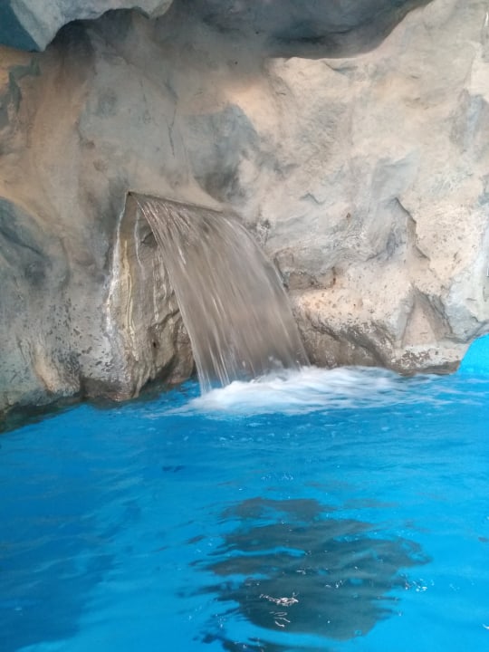 Pool Seehotel Fährhaus