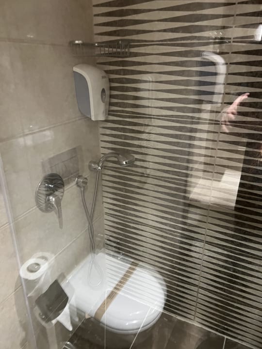 Zimmer Well Palace Side