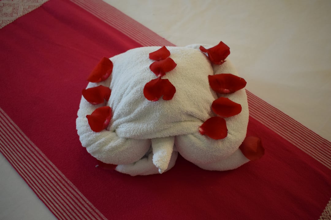 Zimmer Akumal Bay Beach & Wellness Resort