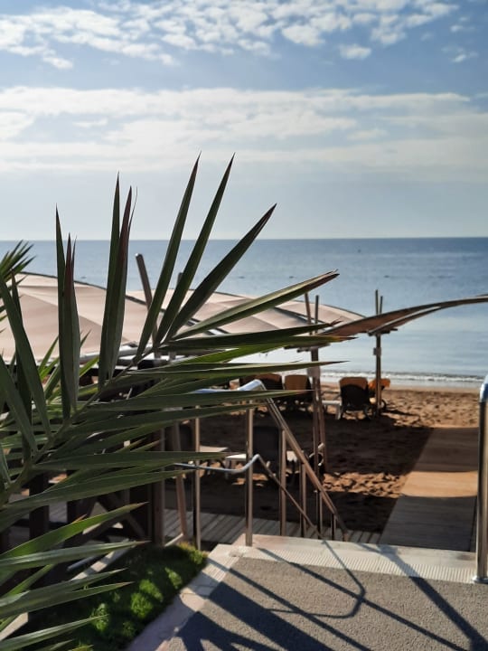 Ausblick Papillon Belvil