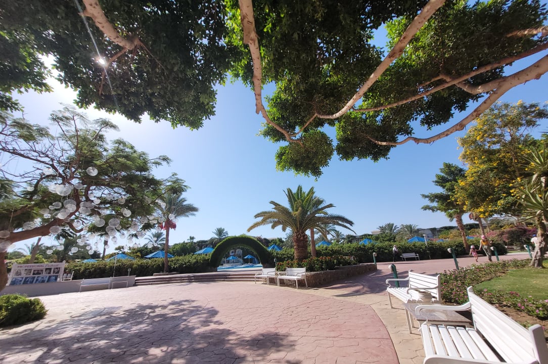 Gartenanlage Desert Rose