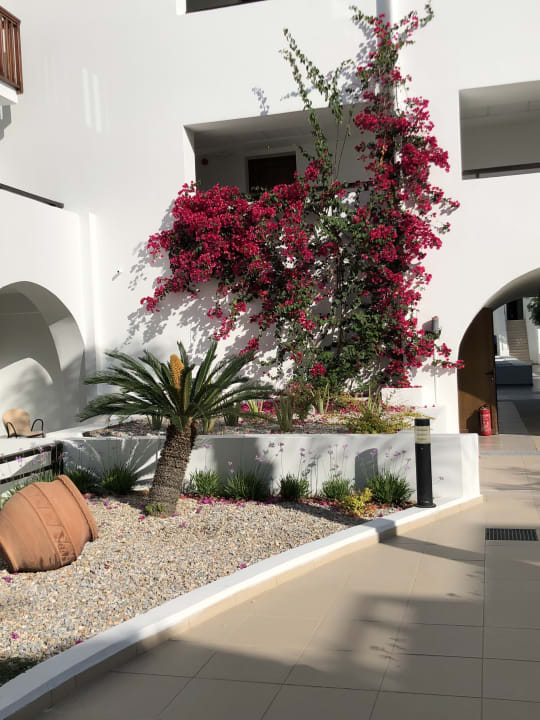 Gartenanlage TUI BLUE Oceanis Beach and Spa Resort