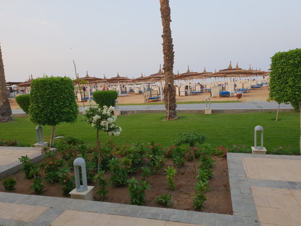 Ausblick Pickalbatros Dana Beach Resort - Hurghada