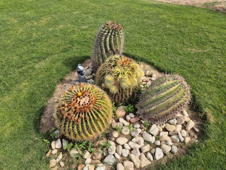 Gartenanlage Shams Prestige Abu Soma-Adults Only