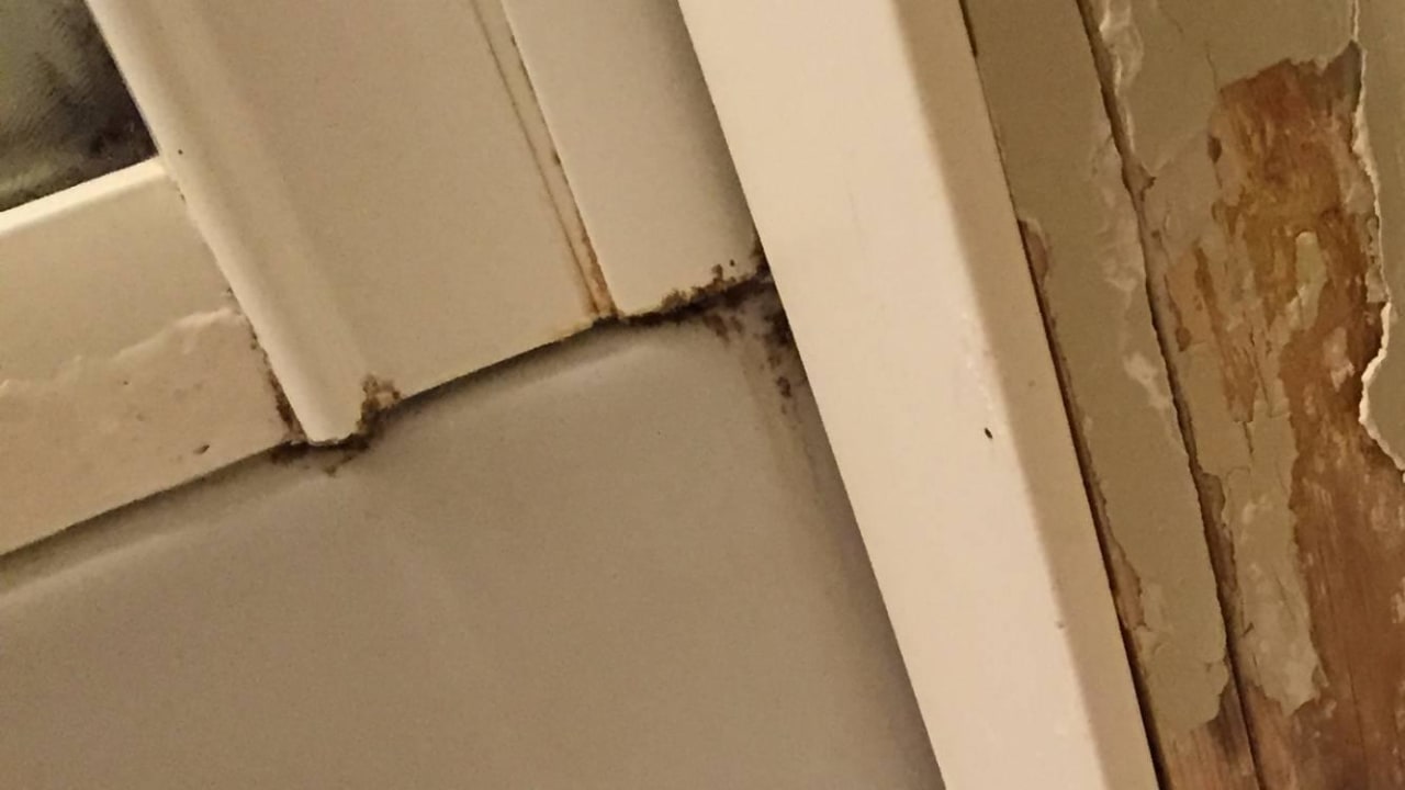 Schimmelige Dusche  Albergo Cavalletto & Doge Orseolo