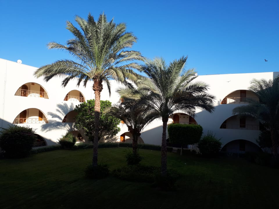 Gartenanlage Desert Rose