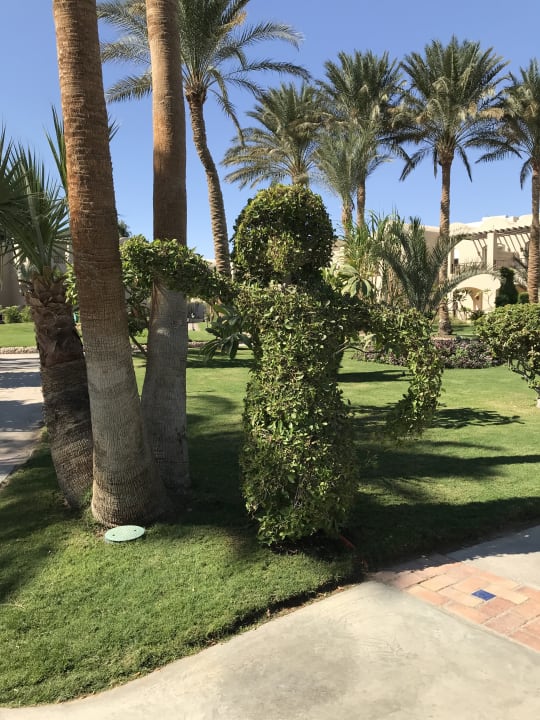 Gartenanlage Jaz Makadi Oasis Resort