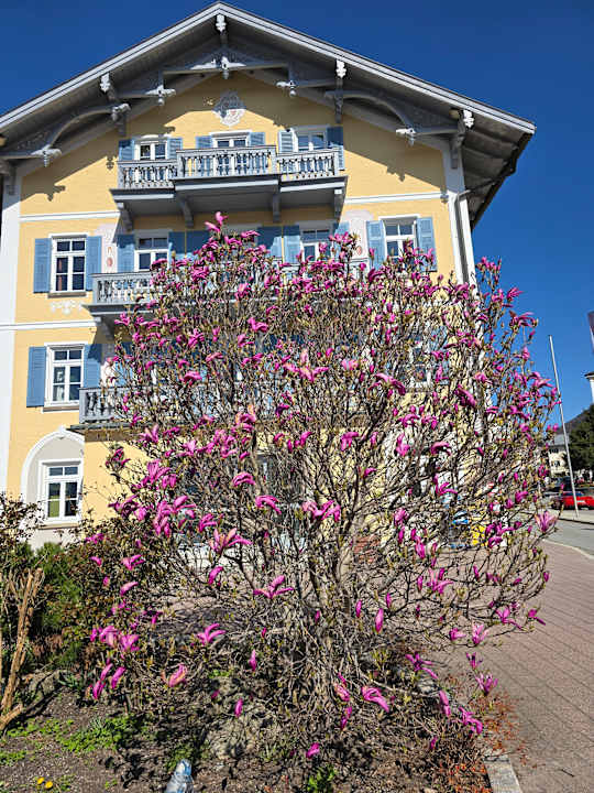 Sonstiges Haus Schußmann