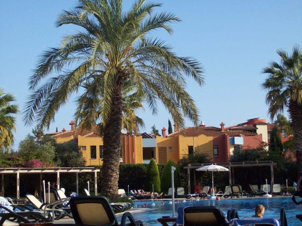 Poollandschaft Side Star Elegance