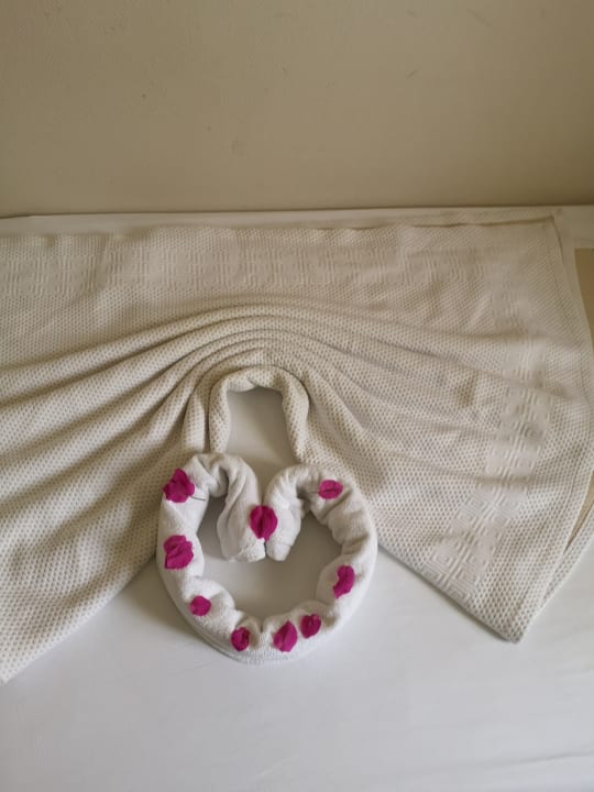 Zimmer Can Garden Resort