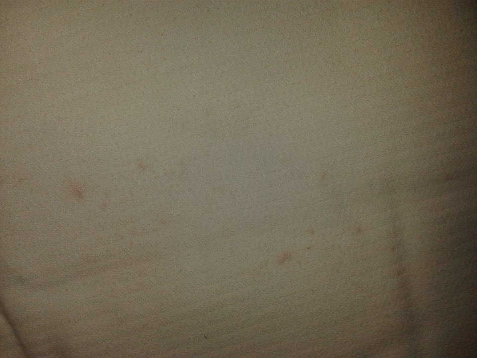 Polštář Hotel Bílý Hořec