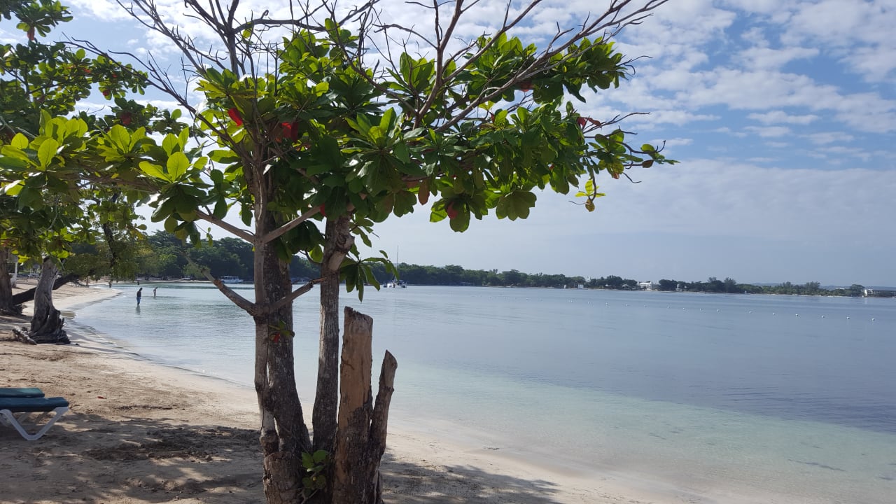 Strand Hotel Riu Negril
